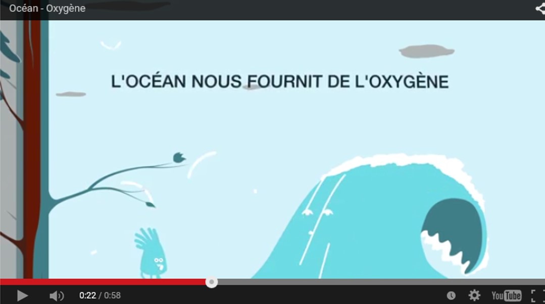 7 jours avant la Journée Mondiale de l'Océan - Océan & Oxygéne