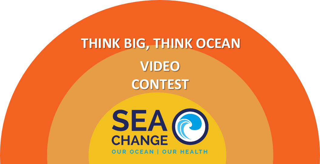 "Think Big, Think Ocean" Video Contest