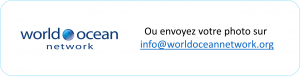 bouton e mail info fr