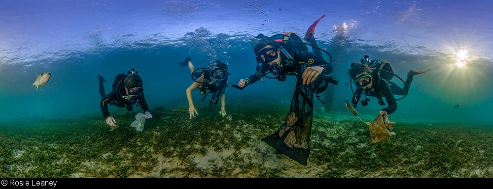 2018 Annual World Ocean Day Photo contest